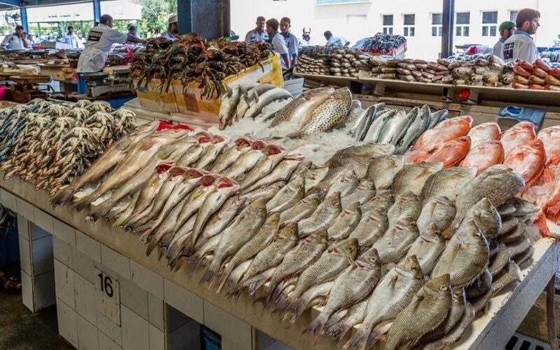 “البلطي وصل 110ج” سعر السمك اليوم للمستهلك اليوم الجمعة 1-3-2024 في سوق السمك