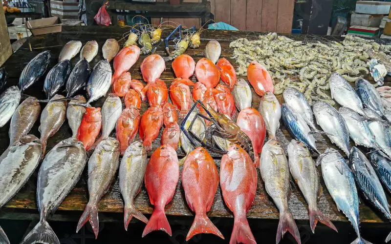 إستقرار في سعر السمك اليوم.. أسعار السمك اليوم الأربعاء 29 مايو 2024 في الأسواق المحلية بمصر