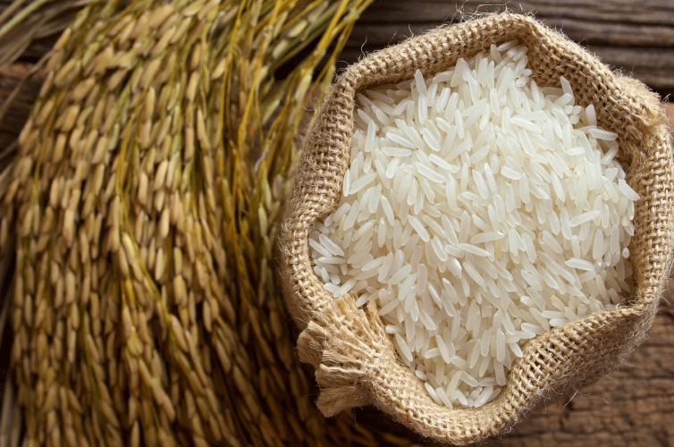 الأردب وصل كام النهاردة.. سعر طن الأرز الشعير اليوم الإثنين 3 يونيو 2024 في جميع الأسواق المحلية