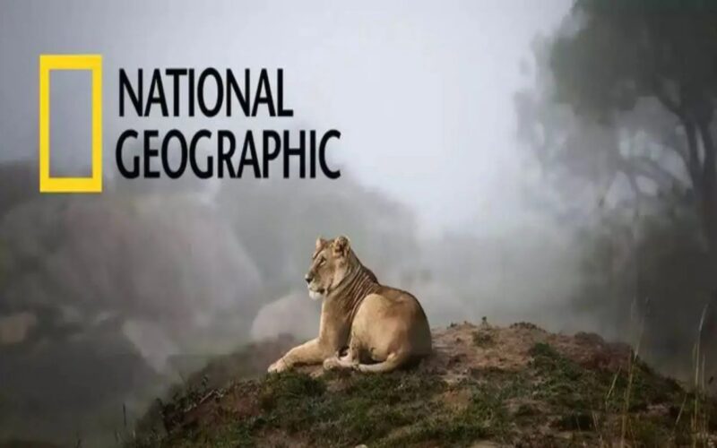 التقط تردد قناة ناشيونال جيوغرافيك الجديد 2024  National Geographic وشاهد اجمل البرامج